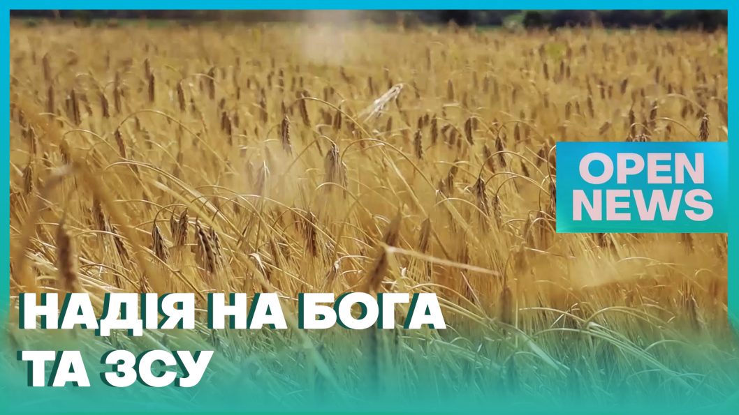 На Днепропетровщине стартовала жатва - рис. 1