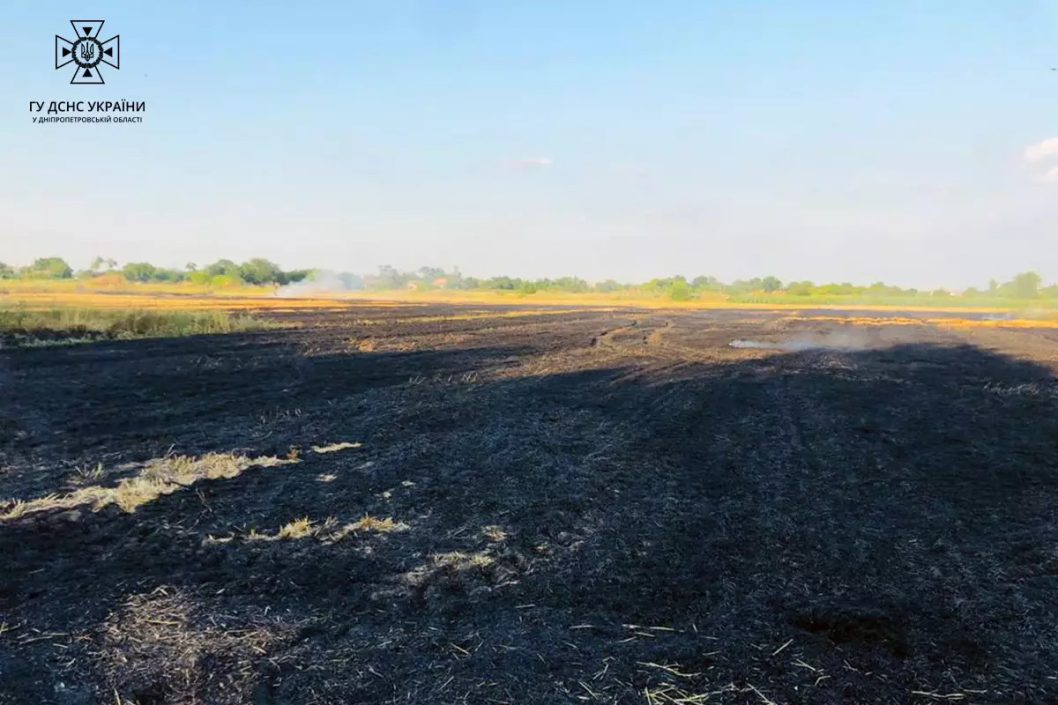 В Днепропетровской области во время пожара на поле пострадал мужчина - рис. 2