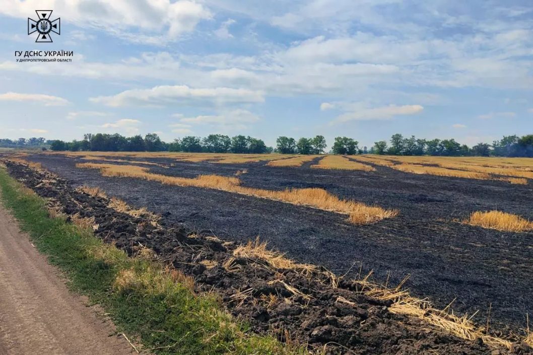 На Дніпропетровщині горіли поля з пшеницею площею майже 10 гектарів - рис. 1