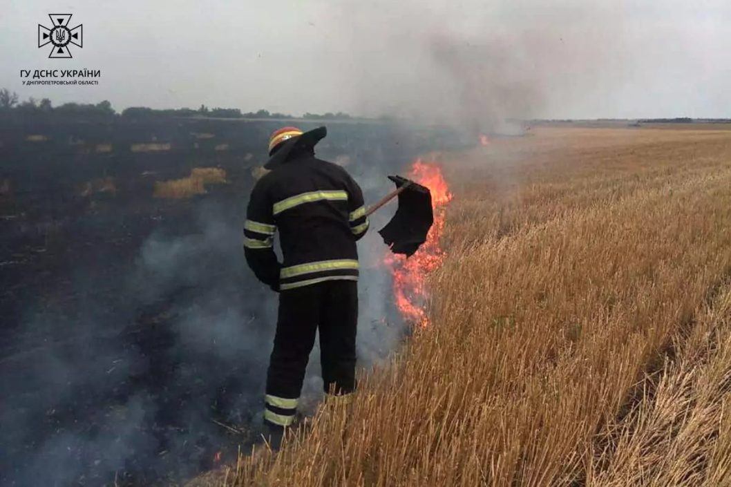 На Днепропетровщине горели поля с пшеницей площадью почти 10 гектаров - рис. 2