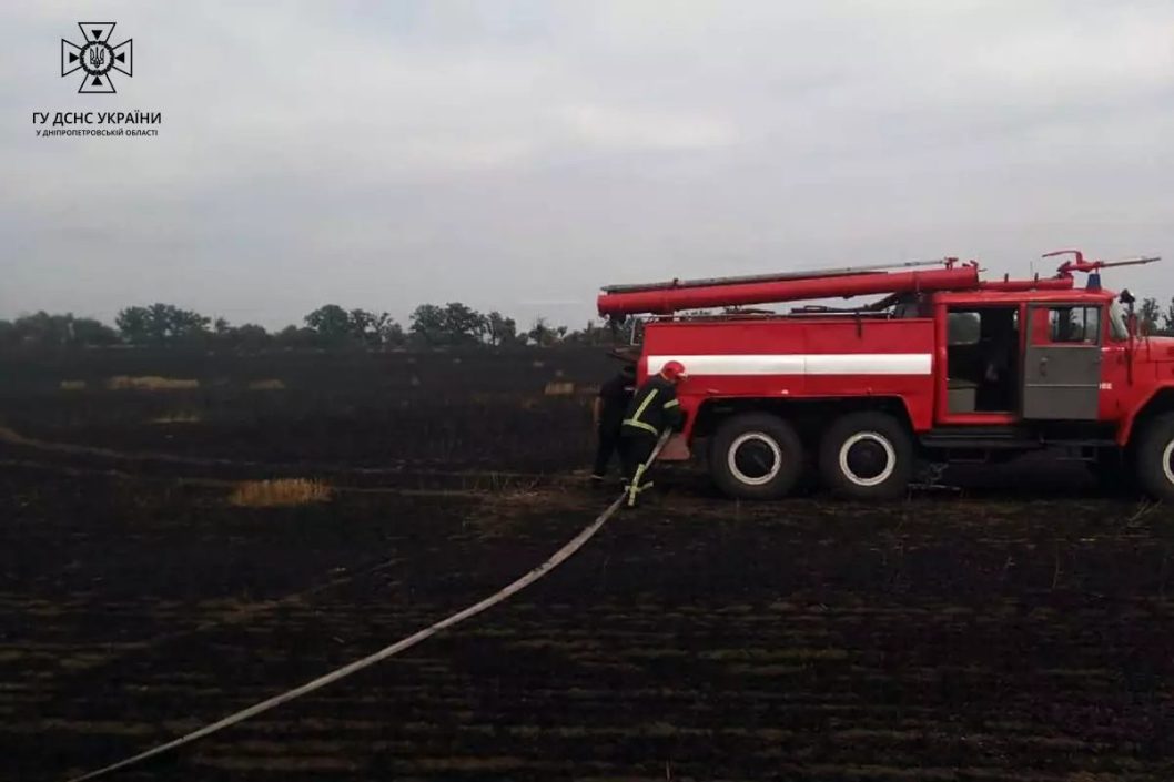 На Дніпропетровщині горіли поля з пшеницею площею майже 10 гектарів - рис. 3