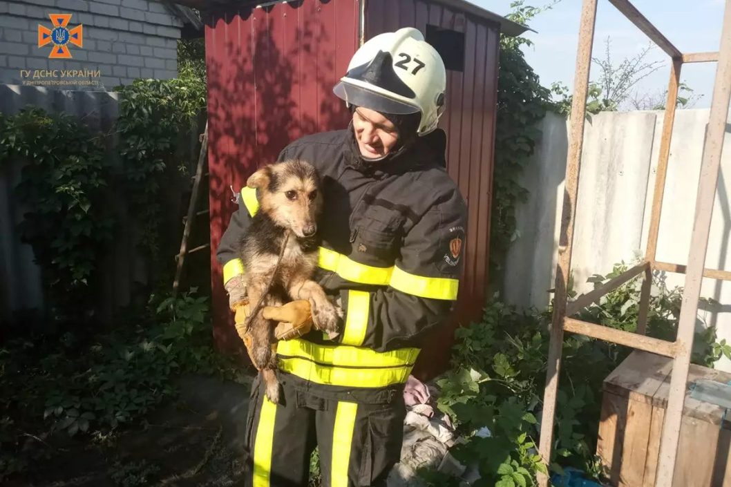 На Днепропетровщине спасли двух собачек, упавших в глубокую яму - рис. 3