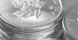 Популярность сребреников среди нумизматов: секреты коллекционера серебряных монет