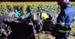 Тіло водія затисло у салоні: на Дніпропетровщині сталася аварія