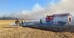 В Днепропетровской области на ближайшие трое суток объявлена чрезвычайная пожарная опасность - рис. 6