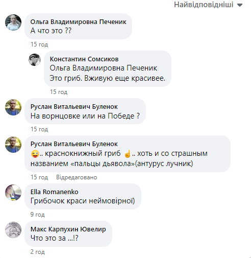 Гриб-восьминіг: у Дніпрі знайшли червонокнижні "пальці диявола" - рис. 1