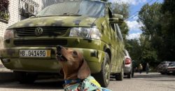 В Днепре пес Кокс передал защитникам Украины автомобиль - рис. 2