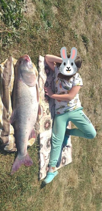 В Днепропетровской области поймали гигантскую рыбу весом 19 килограммов - рис. 1