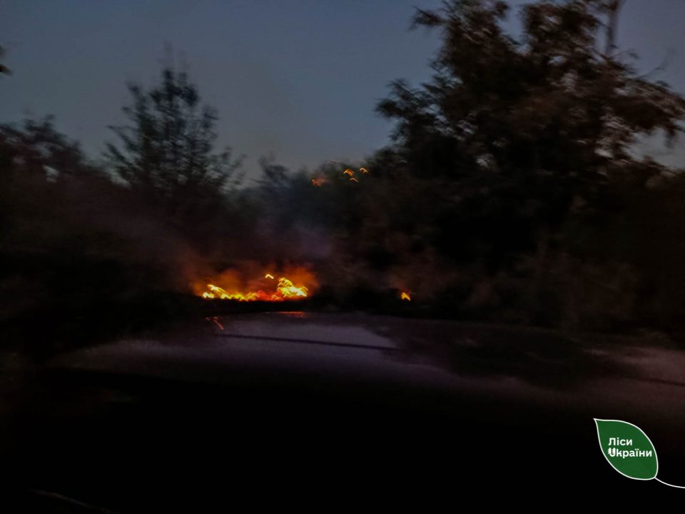 Россияне обстреляли Марганецкое лесничество из ствольной артиллерии, возник пожар (Фото) - рис. 1