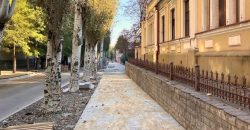 «Берлинские подушки», зонированная плитка и зеленые зоны: в Днепре ремонтируют три улицы - рис. 7