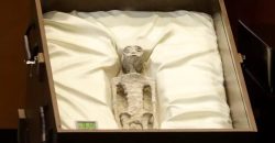 У Перу виявили 1000-річні мумії іншопланетних істот