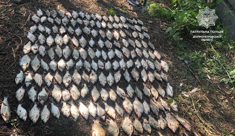 У Дніпрі броконьєр сітками виловив з річки 187 рибин