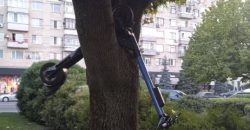 В Днепре неизвестные "припарковали" арендованный электросамокат на дереве - рис. 3