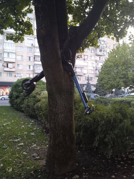У Дніпрі невідомі "припаркували" орендований електросамокат на дереві - рис. 1