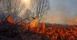 В Днепре и области объявили чрезвычайный уровень пожарной опасности - рис. 5