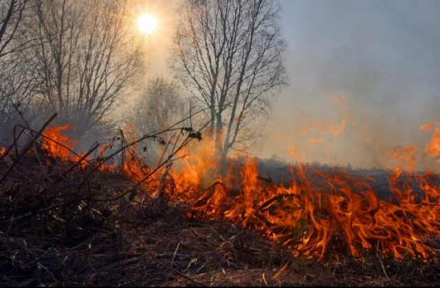 У Дніпрі та області оголосили надзвичайний рівень пожежної небезпеки  - рис. 1