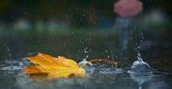 Резкое похолодание и дождь: прогноз погоды в Днепре на 16 октября - рис. 9