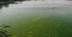 У Дніпрі на Набережній Перемоги річку засипають будівельним сміттям (Фото)