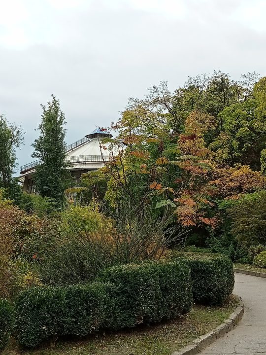 Ботанический сад Днепра приглашает гостей на выходные - рис. 1