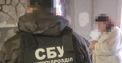 Поширювала фейки про ЗСУ: на Дніпропетровщині СБУ затримала прихильницю окупантів - рис. 4