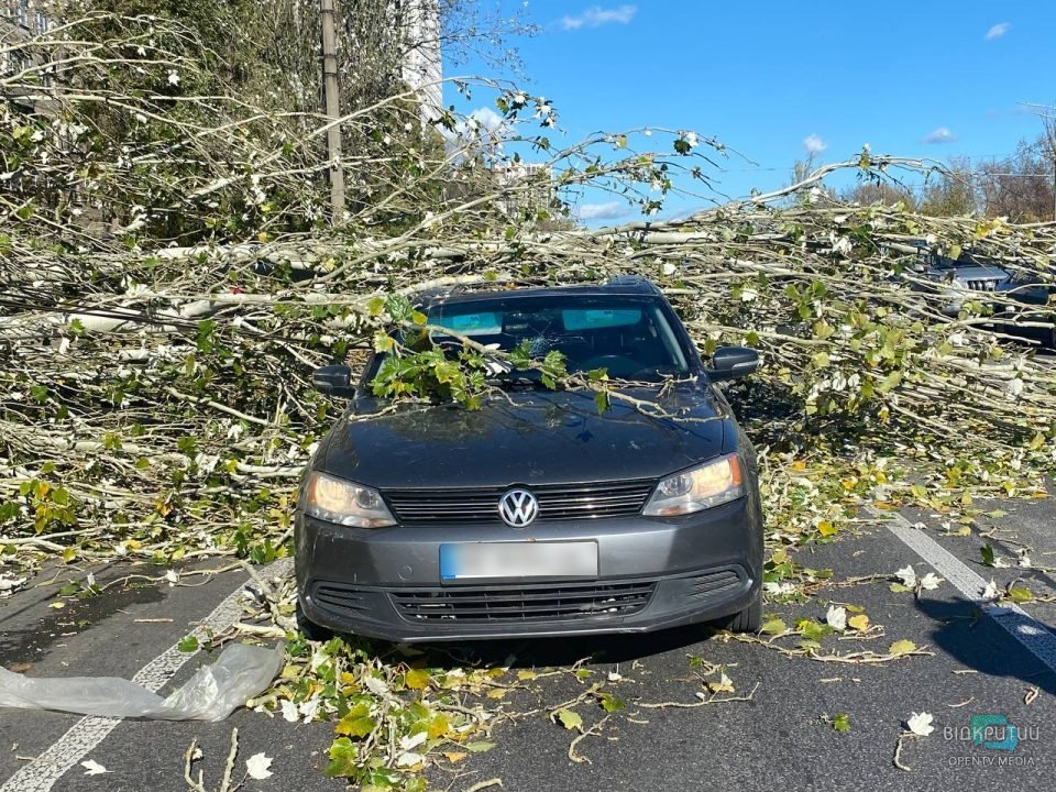 Сильний вітер у Дніпрі: на автівку впало дерево - рис. 2