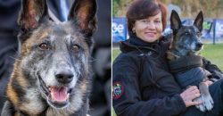 Собака-рятувальник Павлоградського пошуково-рятувального загону допомагає співробітникам ДСНС - рис. 3