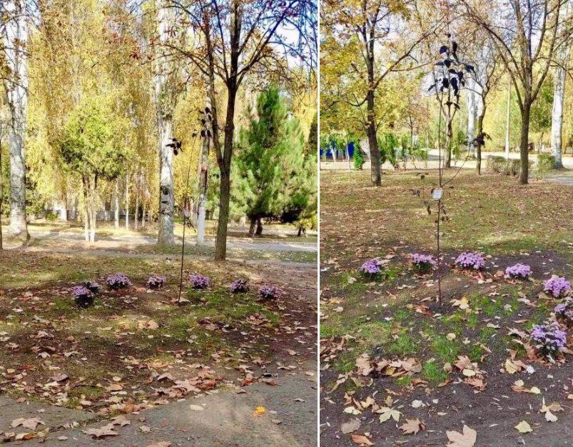 На Дніпропетровщині вандали вирвали квіти, висаджені у пам’ять загиблої дитини під час обстрілу окупантів