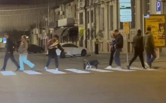 «Собачка с пятачком»: в центре Днепра мужчина выгуливал свинью - рис. 1