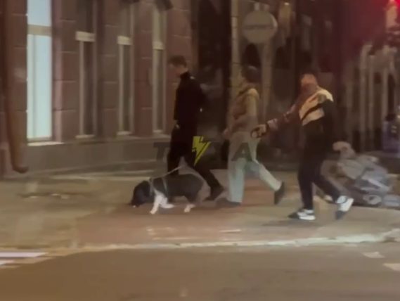 «Собачка с пятачком»: в центре Днепра мужчина выгуливал свинью - рис. 2