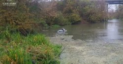 На Дніпропетровщині в річці знайшли автомобіль, в салоні буди три загиблі