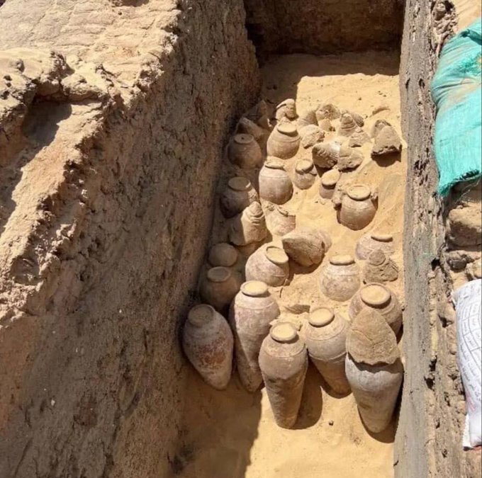 У Єгипецькій гробниці археологи знайшли вино, якому 5 тисяч років (фото)