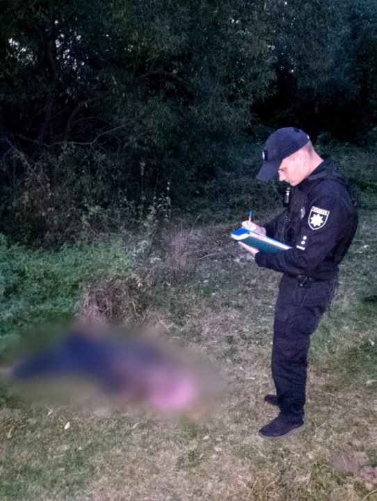 В Киевской области мужчину до смерти покусали шершни за то, что он срубил дерево с их гнездом - рис. 1