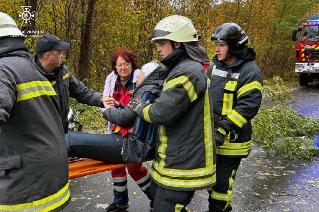 На Дніпропетровщині жінка на автомобілі врізалась в дерево