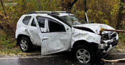 На Дніпропетровщині жінка на автомобілі врізалась в дерево