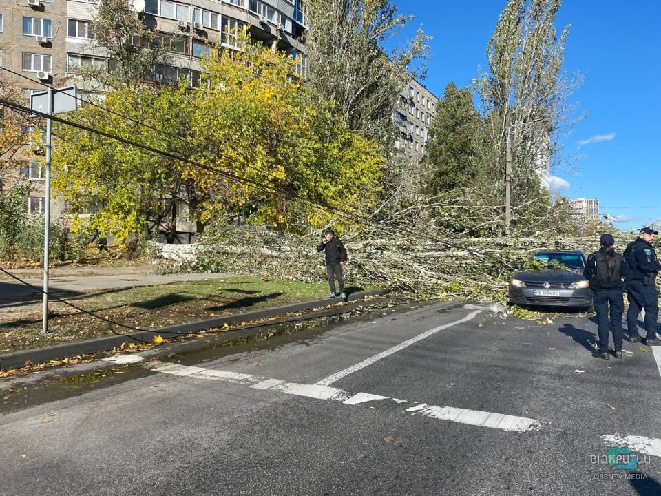 Сильний вітер у Дніпрі: на автівку впало дерево - рис. 3