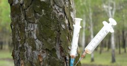 У Дніпрі на житломасиві Парус десятки використаних шприців встромили в дерева