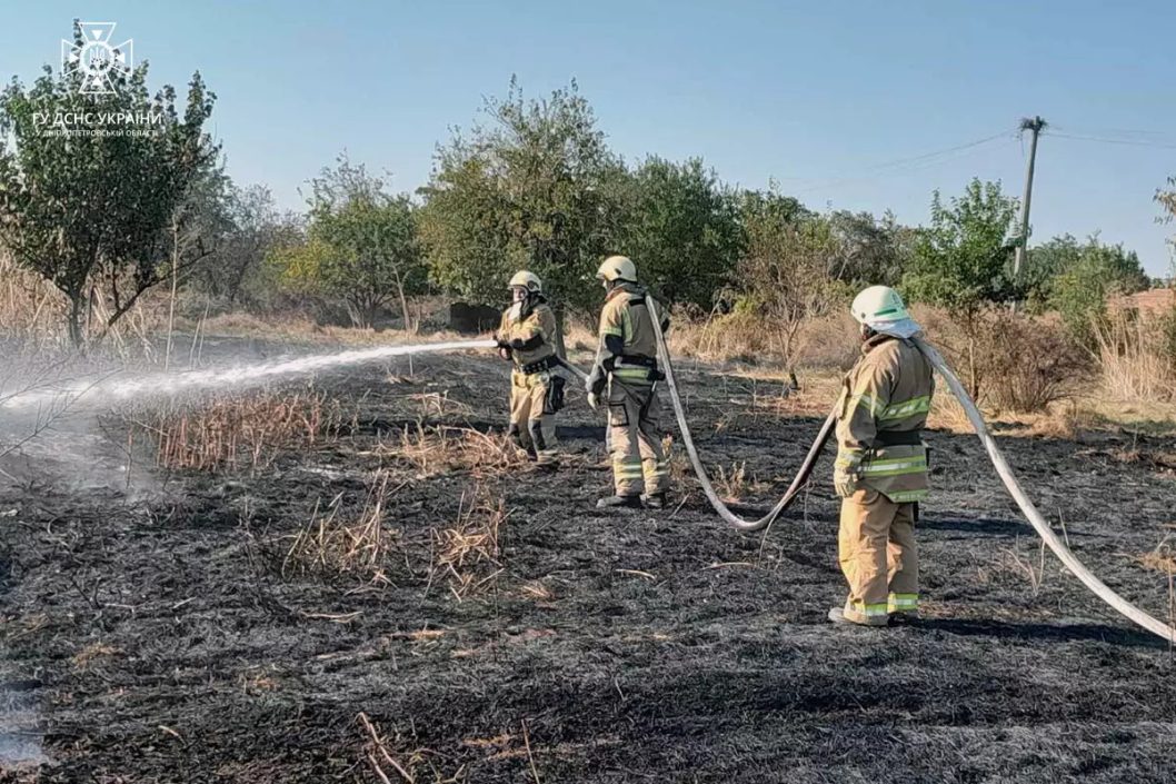 Понад 60 займань за добу: на Дніпропетровщині оголосили пожежну небезпеку найвищого рівня - рис. 4