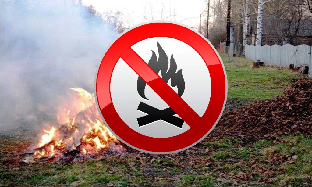 У Дніпрі пройшов рейд по дотриманню заборони щодо спалювання сухого листя