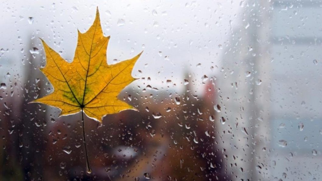 Дощ та похолодання: прогноз погоди у Дніпрі на 8 листопада - рис. 2