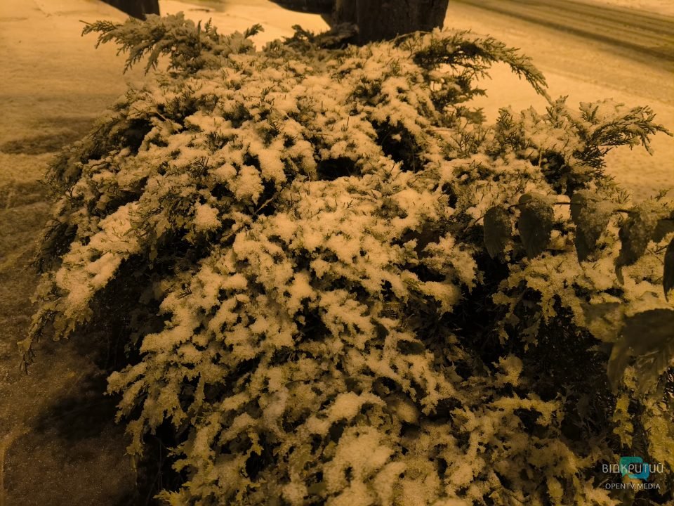 В Днепре пошел первый снег - рис. 9