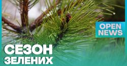 Восточный лесной офис обнародовал цены на новогодние елки в Днепропетровской области - рис. 6