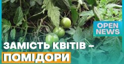 Как появились помидоры в центре Днепра: мнения горожан и экспертов - рис. 13