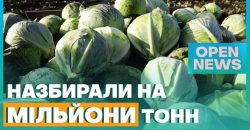 Фермери Дніпропетровщини закінчують збирати цьогорічний врожай овочів