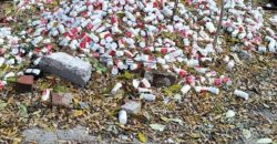 В Днепре неизвестные выбросили на улицу сотни банок с таблетками - рис. 5
