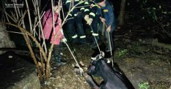 На Дніпропетровщині співробітники ДСНС дістали корову з пастки