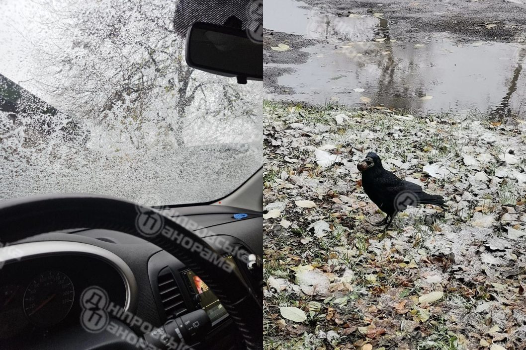 На Дніпропетровщині випав перший сніг - рис. 2