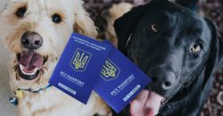 Ветпаспорт в "Дії": в Украине появится государственный реестр домашних животных - рис. 6