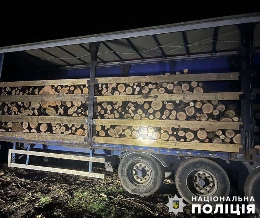 На Дніпропетровщині спіймали чорних лісорубів, їм загрожує до 5 років в'язниці - рис. 2