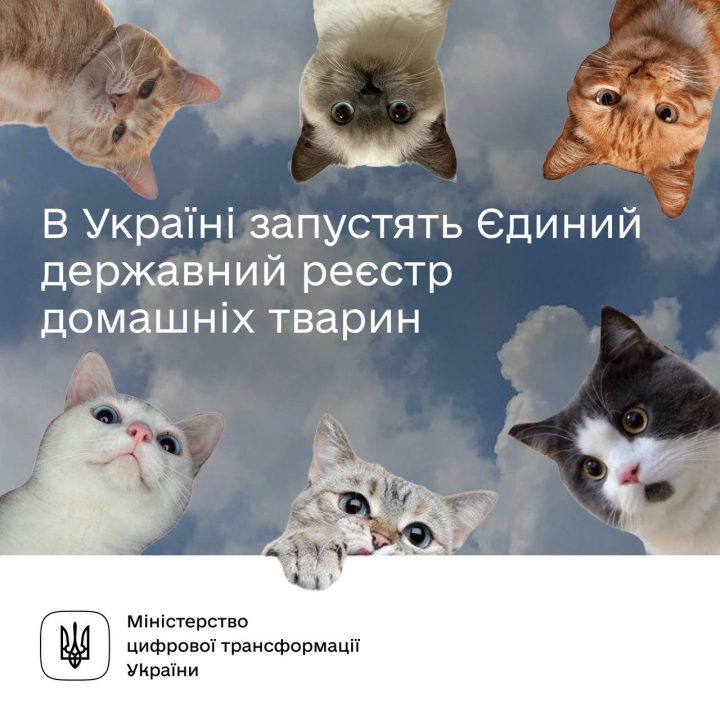 Ветпаспорт у "Дії": в Україні з'явиться державний реєстр домашніх тварин - рис. 1