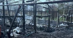 Российские оккупанты обстреляли из артиллерии Никопольский район - рис. 8